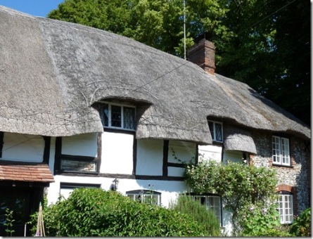 ThatchedRoof